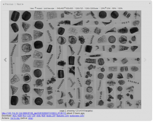 Imaging Flowcytobots (IFCBs)