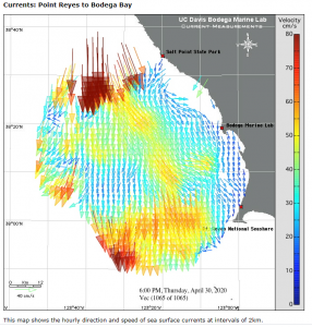 currents off Bodega Bay