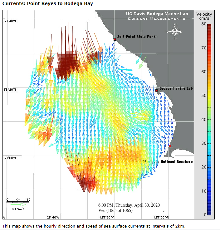 currents off Bodega Bay