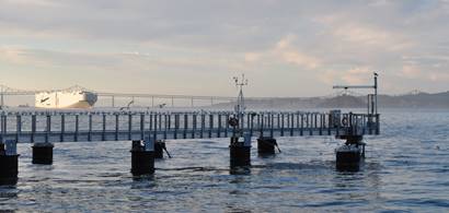 Exploratorium Wired Pier