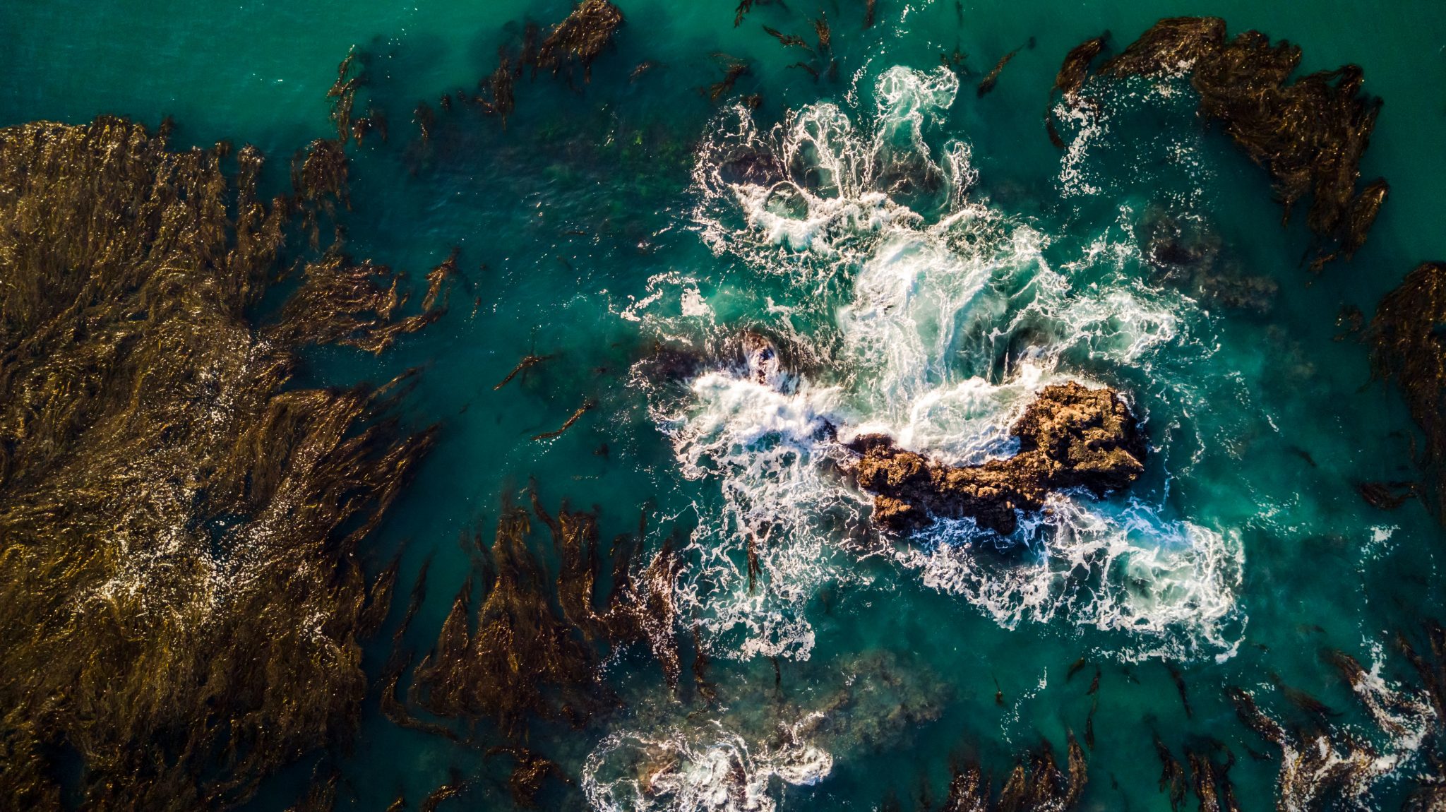 Call for Expressions of Interest (EOIs) to Advance Ocean Observing in California