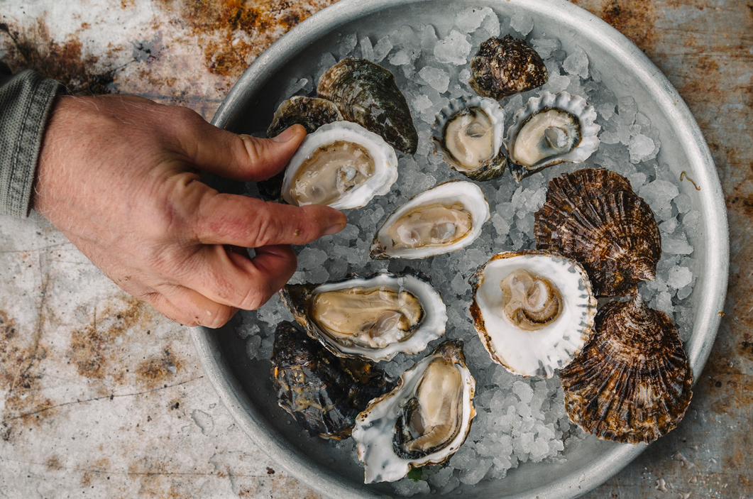 Bodega Bay | Mendocino Coast