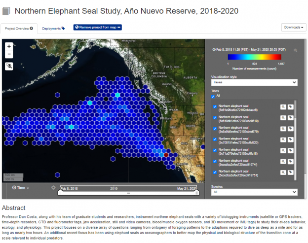 Northern Elephant Seal Project