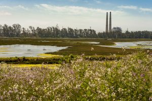 Moss Landing Shore Station