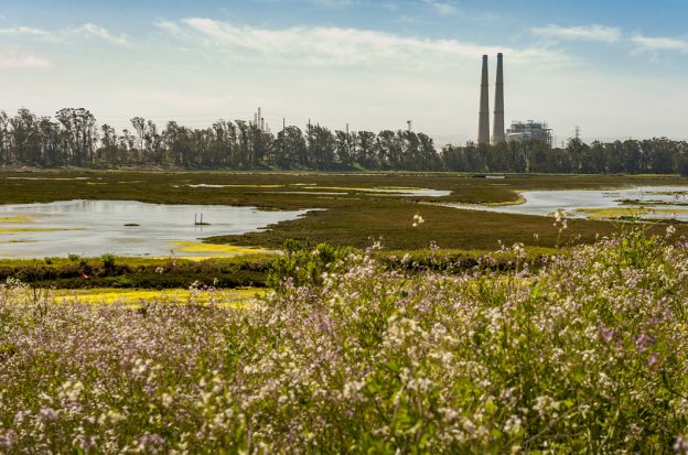 Moss Landing Shore Station